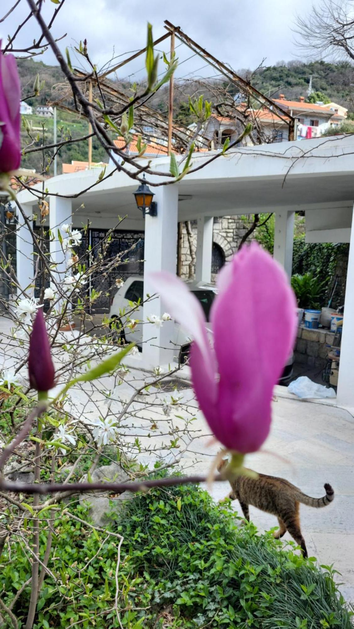 Studio Apartman Sa Pogledom Na More Meljine Esterno foto