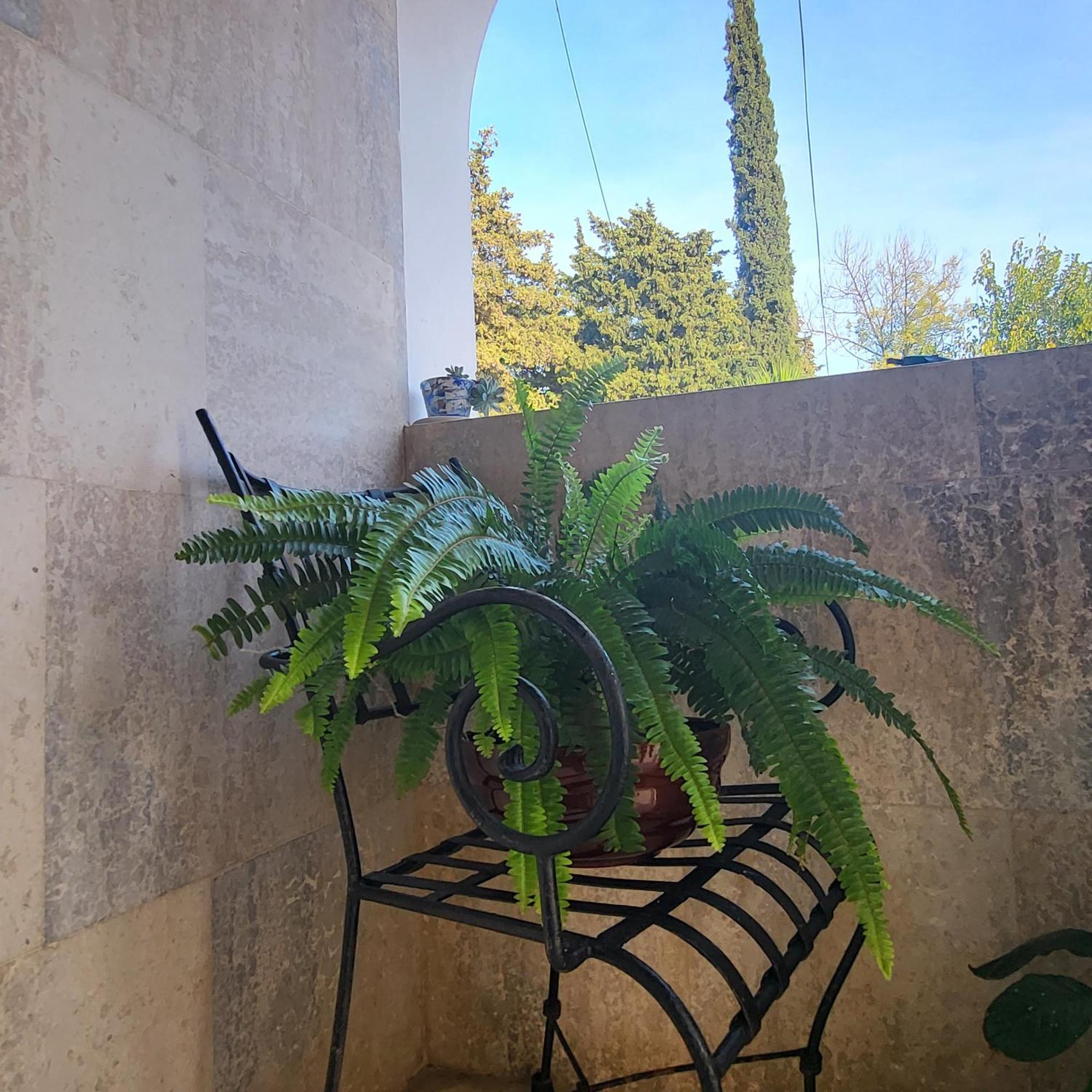 Studio Apartman Sa Pogledom Na More Meljine Esterno foto